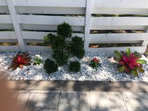 Professional landscaping for curb appeal