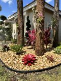 Landscape renovation services in Miami