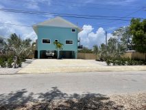 Professional landscaping for curb appeal