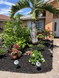 Landscape renovation services in Miami