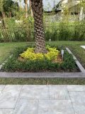 Decorative borders for outdoor spaces